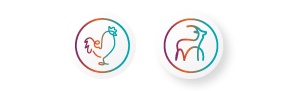 02_Agrifarm_FeedsIcnPoultry